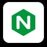 website development through Niginix
