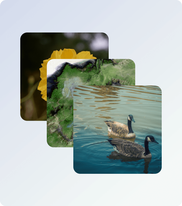 best web design and development company