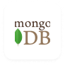 website development through MongoDB