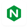 website development through Niginix